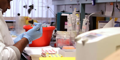 Life Sciences