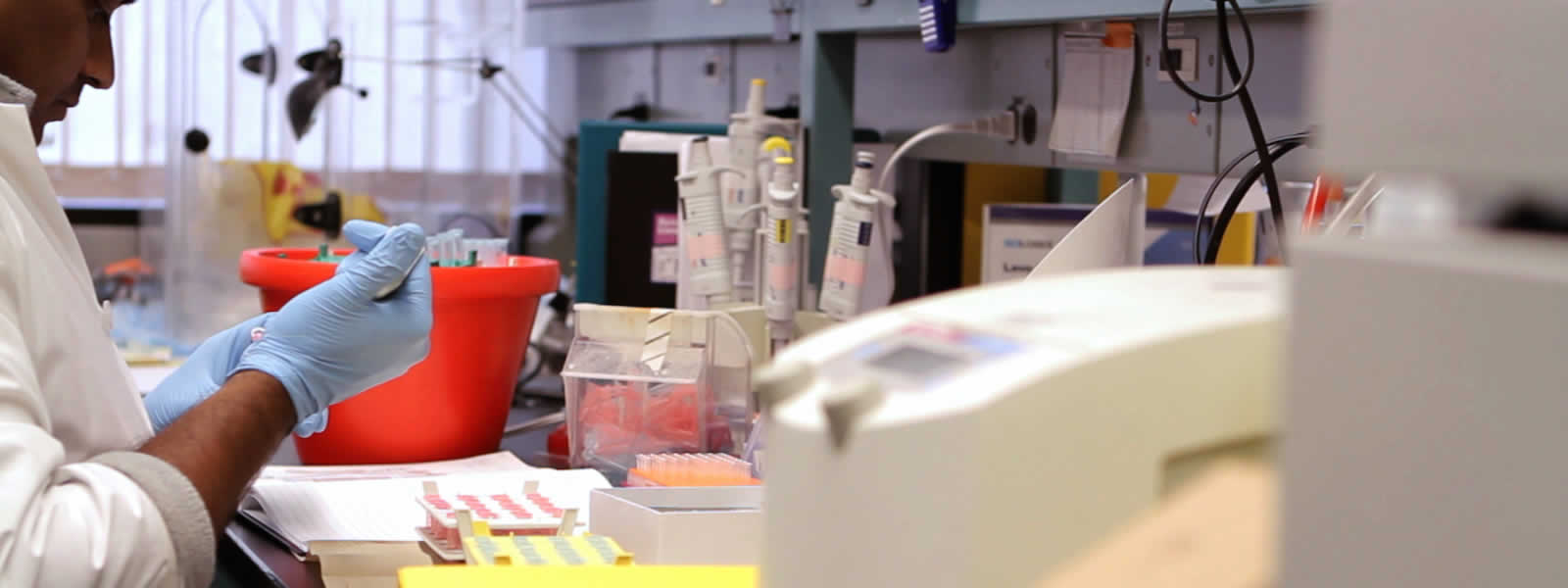 Key Industry: Life Sciences
