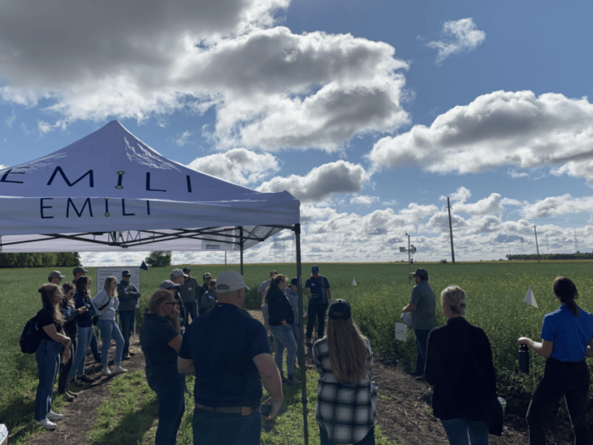 4R practices showcased at Innovation Farms