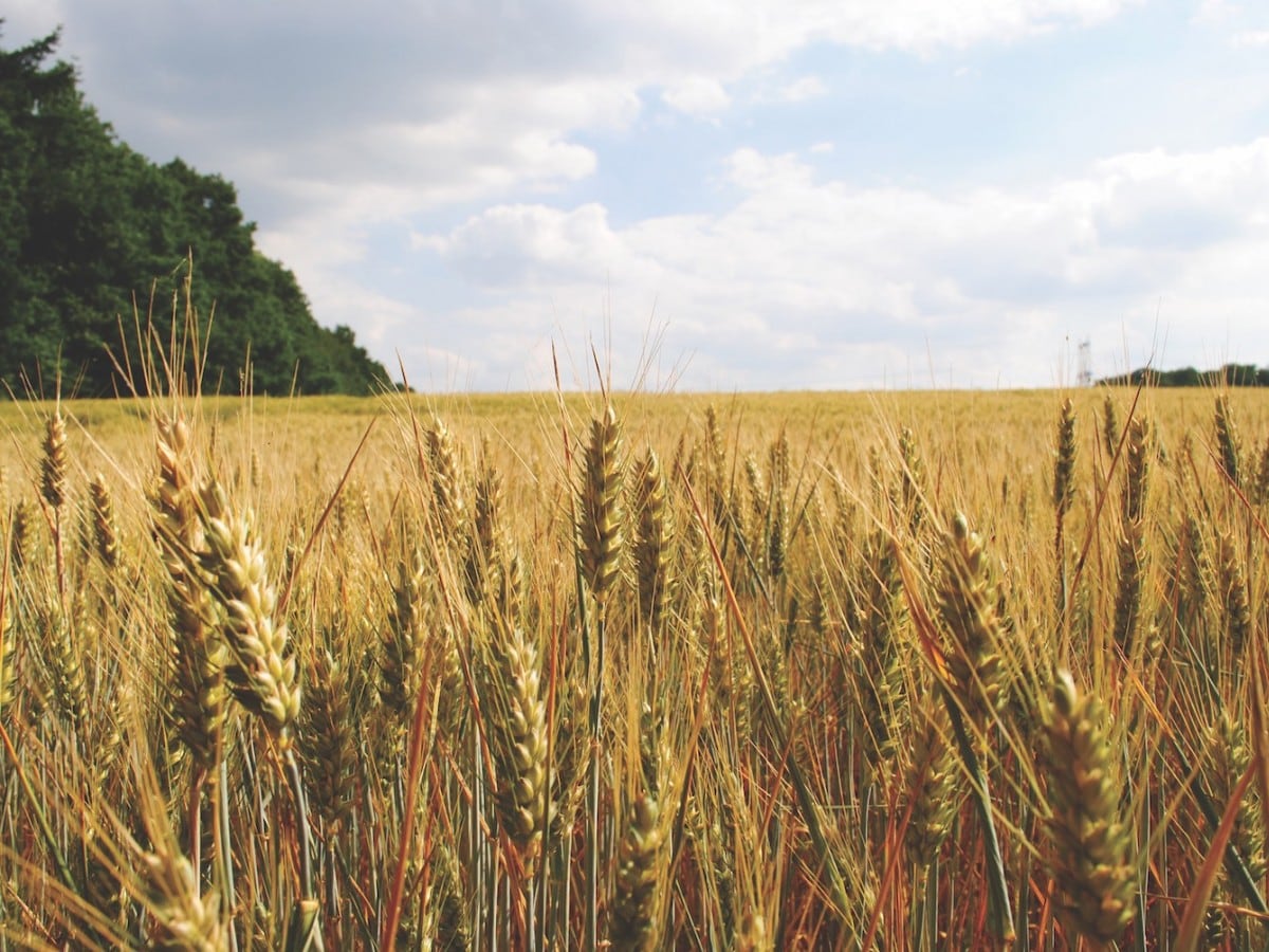 ​Manitoba Ag Days showcases province’s agribusiness strength